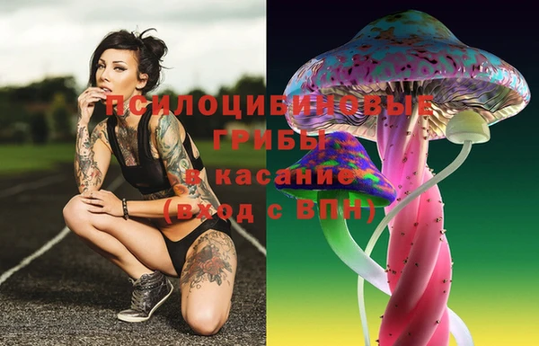 стафф Верхнеуральск