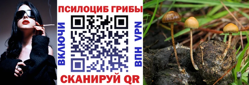 Галлюциногенные грибы мухоморы  Лукоянов 